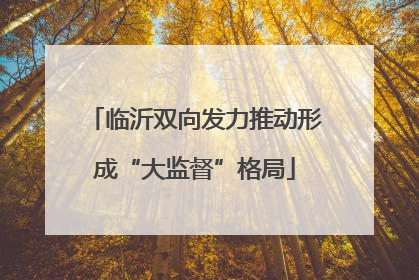 临沂双向发力推动形成“大监督”格局