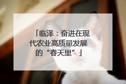 临泽：奋进在现代农业高质量发展的“春天里”