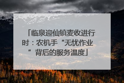 临泉迎仙镇麦收进行时：农机手“无忧作业”背后的服务温度