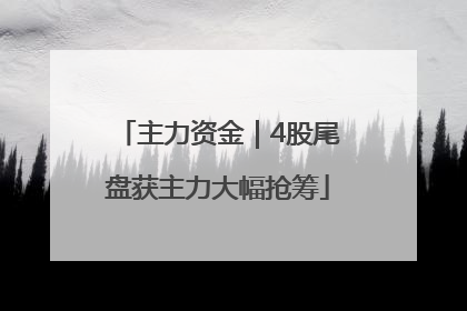 主力资金｜4股尾盘获主力大幅抢筹