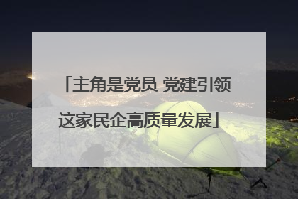主角是党员 党建引领这家民企高质量发展