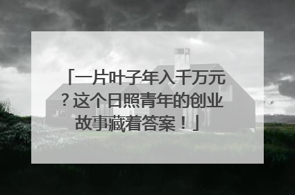 一片叶子年入千万元？这个日照青年的创业故事藏着答案！