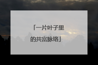 一片叶子里的共富脉络