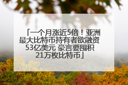 一个月涨近5倍！亚洲最大比特币持有者欲融资53亿美元 豪言要囤积21万枚比特币