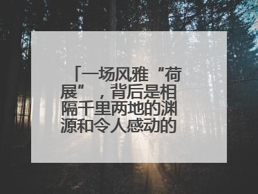 一场风雅“荷展”，背后是相隔千里两地的渊源和令人感动的历史人文情怀
