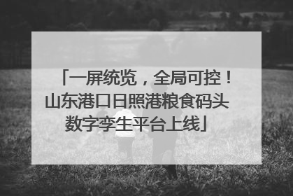 一屏统览，全局可控！山东港口日照港粮食码头数字孪生平台上线