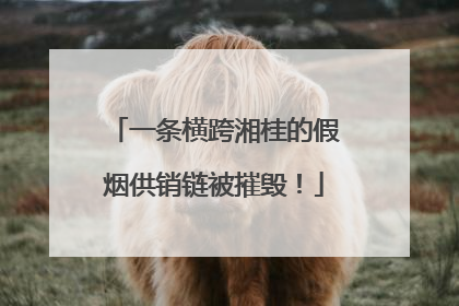 一条横跨湘桂的假烟供销链被摧毁！