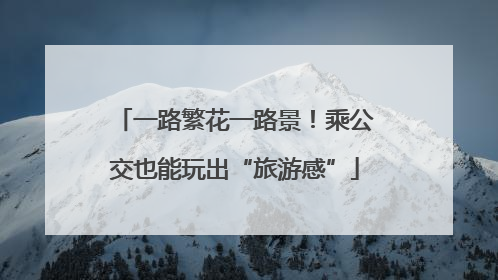 一路繁花一路景！乘公交也能玩出“旅游感”