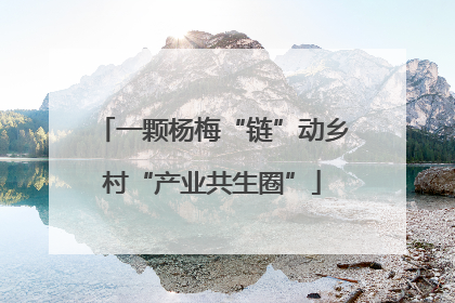一颗杨梅“链”动乡村“产业共生圈”