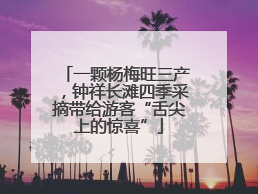 一颗杨梅旺三产，钟祥长滩四季采摘带给游客“舌尖上的惊喜”