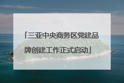 三亚中央商务区党建品牌创建工作正式启动