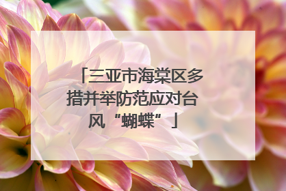 三亚市海棠区多措并举防范应对台风“蝴蝶”