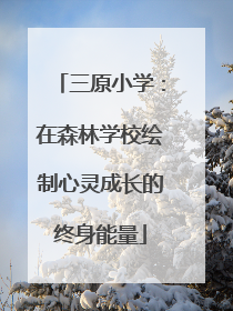 三原小学：在森林学校绘制心灵成长的终身能量