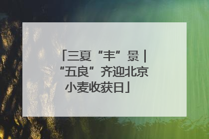 三夏“丰”景｜“五良”齐迎北京小麦收获日