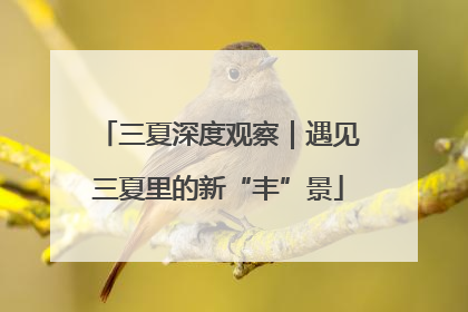 三夏深度观察｜遇见三夏里的新“丰”景
