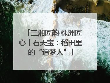 三湘匠韵·株洲匠心丨石天宝：稻田里的“追梦人”