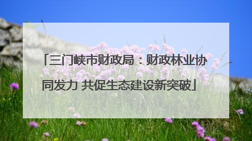 三门峡市财政局：财政林业协同发力 共促生态建设新突破
