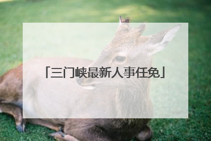 三门峡最新人事任免