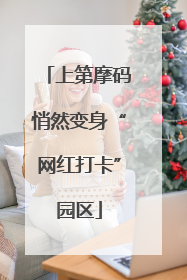 上第摩码悄然变身“网红打卡”园区
