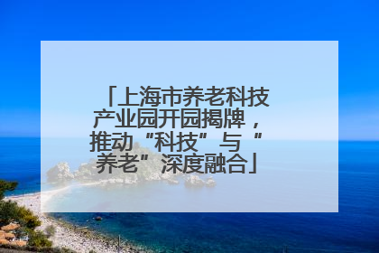 上海市养老科技产业园开园揭牌，推动“科技”与“养老”深度融合