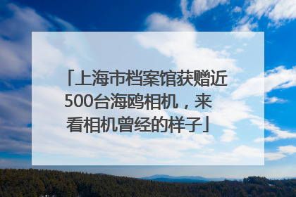 上海市档案馆获赠近500台海鸥相机，来看相机曾经的样子