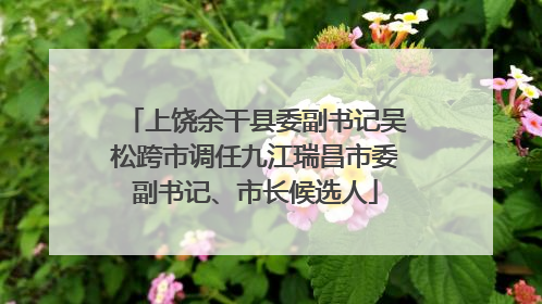 上饶余干县委副书记吴松跨市调任九江瑞昌市委副书记、市长候选人