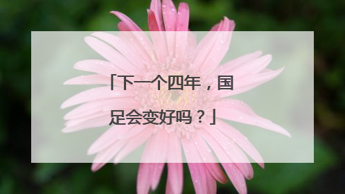 下一个四年，国足会变好吗？