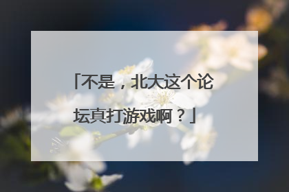 不是，北大这个论坛真打游戏啊？