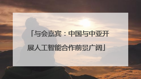 与会嘉宾：中国与中亚开展人工智能合作前景广阔