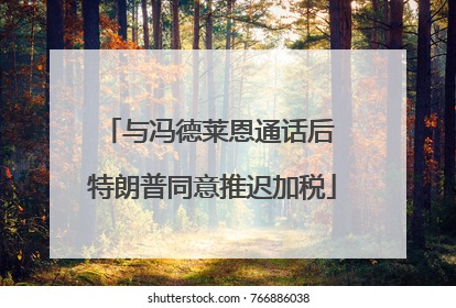 与冯德莱恩通话后 特朗普同意推迟加税
