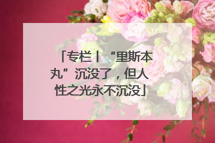专栏丨“里斯本丸”沉没了，但人性之光永不沉没