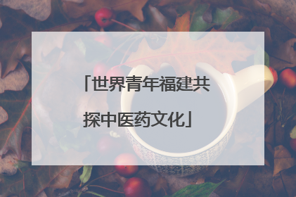 世界青年福建共探中医药文化