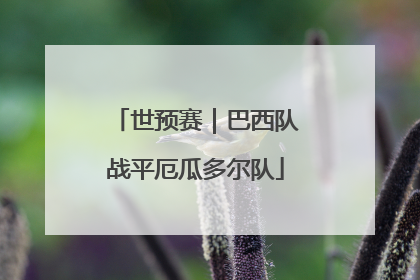 世预赛｜巴西队战平厄瓜多尔队
