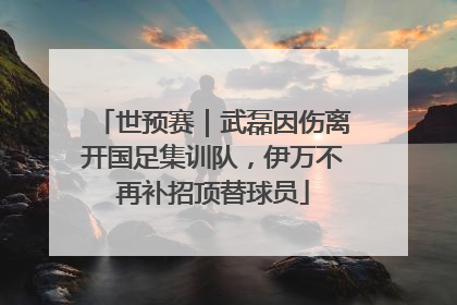 世预赛｜武磊因伤离开国足集训队，伊万不再补招顶替球员