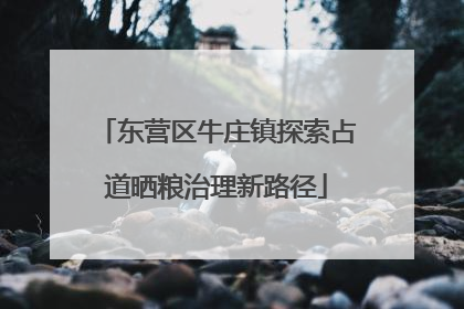 东营区牛庄镇探索占道晒粮治理新路径