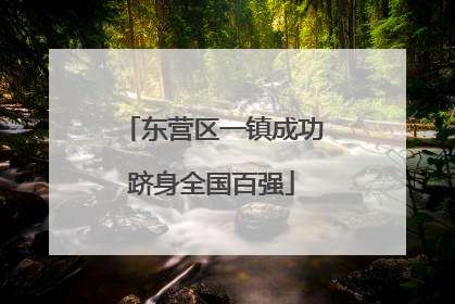 东营区一镇成功跻身全国百强