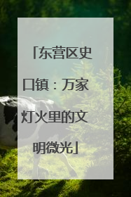 东营区史口镇：万家灯火里的文明微光