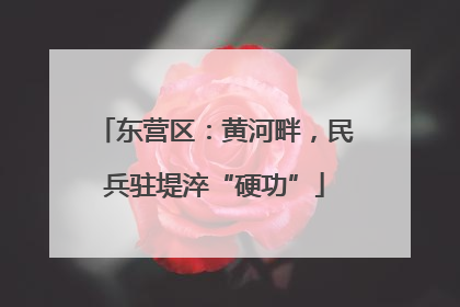 东营区：黄河畔，民兵驻堤淬“硬功”