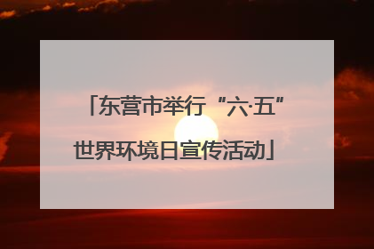东营市举行“六·五”世界环境日宣传活动