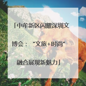 中牟新区闪耀深圳文博会：“文旅+时尚”融合展现新魅力