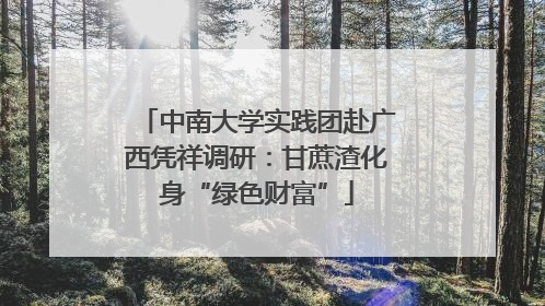 中南大学实践团赴广西凭祥调研：甘蔗渣化身“绿色财富”