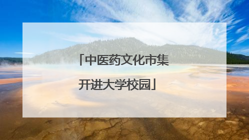 中医药文化市集开进大学校园