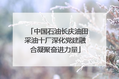 中国石油长庆油田采油十厂深化党建融合凝聚奋进力量