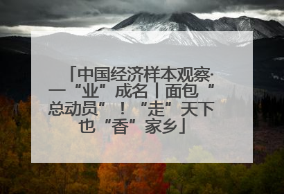 中国经济样本观察·一“业”成名丨面包“总动员”！“走”天下也“香”家乡