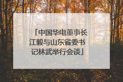 中国华电董事长江毅与山东省委书记林武举行会谈