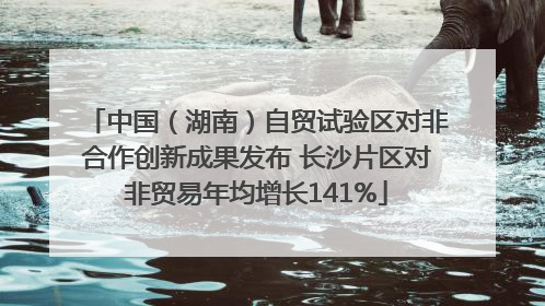 中国（湖南）自贸试验区对非合作创新成果发布 长沙片区对非贸易年均增长141%