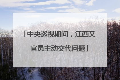 中央巡视期间，江西又一官员主动交代问题