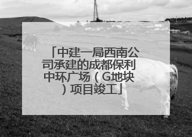 中建一局西南公司承建的成都保利中环广场（G地块）项目竣工