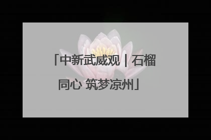 中新武威观｜石榴同心 筑梦凉州
