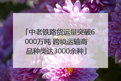 中老铁路货运量突破6000万吨 跨境运输商品种类达3000余种